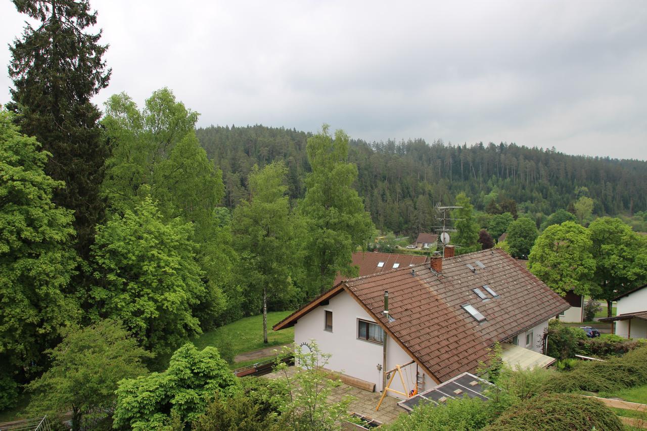 Kuckucksnester Friedenweiler Eksteriør bilde